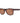 Timberland Brown Injected Sunglasses