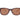 Timberland Brown Injected Sunglasses