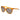 Bolle Brown Women Sunglasses