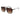 Fila Brown Men Sunglasses