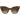Love Moschino Brown Acetate Sunglasses