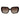 Love Moschino Brown Women Sunglasses