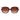 Max Mara Brown Women Sunglasses