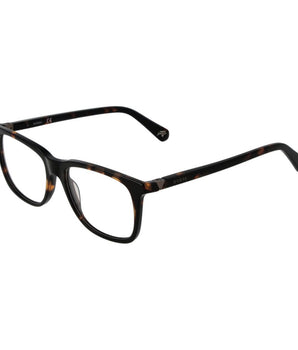 Guess Brown Acetate Glasses (Frames)