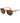 David Beckham Brown Acetate Sunglasses