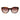 Sandro Brown Women Sunglasses