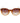 Sandro Orange Acetate Sunglasses
