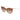Max & Co Brown Plastic Sunglasses