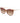 Max & Co Brown Plastic Sunglasses
