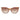 Max & Co Brown Plastic Sunglasses