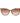 Max & Co Brown Plastic Sunglasses