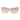 GCDS Gold Acetate Sunglasses