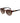 Timberland Brown Plastic Sunglasses