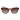 Timberland Brown Men Sunglasses