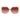 Marciano by Guess Beige Women Sunglasses