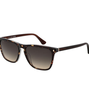 Web Brown Acetate Sunglasses
