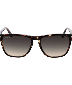 Web Brown Acetate Sunglasses
