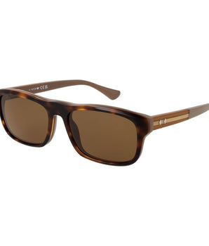 Web Brown Acetate Sunglasses