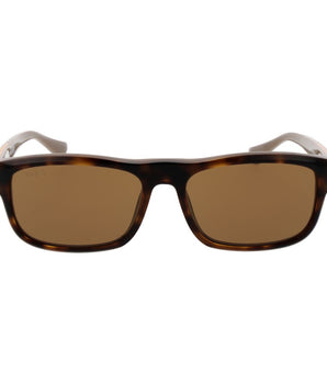Web Brown Acetate Sunglasses