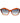 Marciano by Guess Copper Acetate Sunglasses