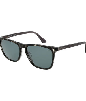 Web Black Acetate Sunglasses