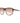 Guess Brown Plastic Sunglasses