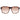 Guess Brown Unisex Sunglass