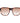 Guess Brown Plastic Sunglasses