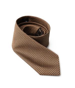 Giorgio Armani Bicolor Silk Tie