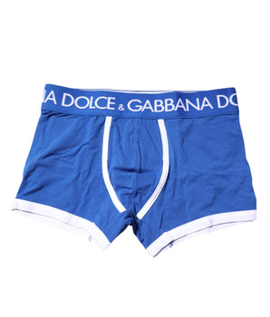 Dolce & Gabbana Blue Logo Waist Regular Boxer Brief Underwear