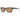 Gant Green Men Sunglasses