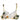 Dolce & Gabbana Multicolor Floral Print Non Wire Bra Underwear