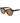 Serengeti Brown Plastic Sunglasses