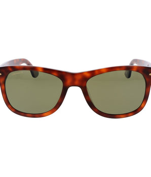 Serengeti Brown Plastic Sunglasses