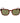 Serengeti Brown Acetate Sunglasses