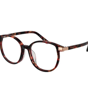 Guess Brown Acetate Glasses (Frames)