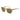 Serengeti Beige Men Sunglasses