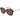 Ted Baker Brown Acetate Sunglasses