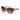 Marciano by Guess Brown Women Sunglasses