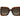 Carolina Herrera Brown Acetate Sunglasses