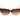 Italia Independent Brown Acetate Sunglasses
