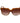 Italia Independent Brown Acetate Sunglasses