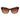 Radley Brown Women Sunglasses
