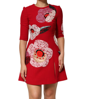 Dolce &amp; Gabbana Red Lace Floral Applique A-line Mini Dress