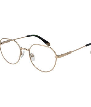 Polaroid Gold Metal Glasses (Frames)
