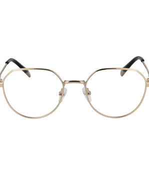 Polaroid Gold Metal Glasses (Frames)