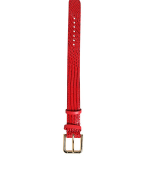Dolce &amp; Gabbana Red Exotic Leather Gold Tone Metal Buckle Women Armband