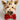 Dolce & Gabbana Gold Brass Resin Beige Dog Pet Accessory Ring