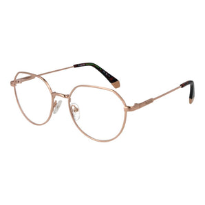 Polaroid Gold Metal Glasses (Frames)