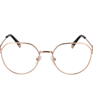 Polaroid Gold Metal Glasses (Frames)